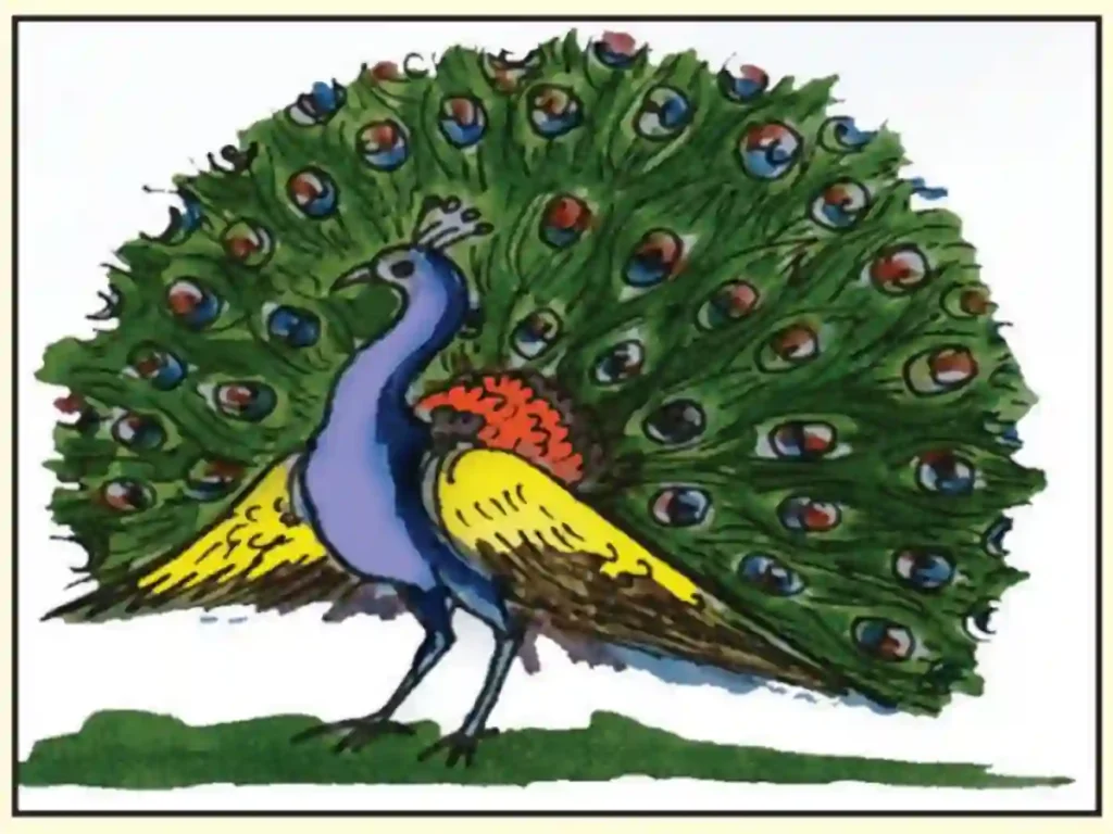 Hamare rashtriya pratik peacock